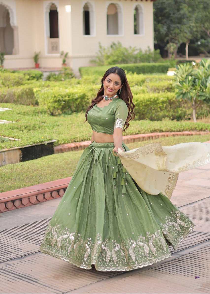 Ethereal Zari Embroidered Lehenga Set
