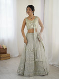 Silver grey georgette sequins and dori work lehenga choli with dupatta